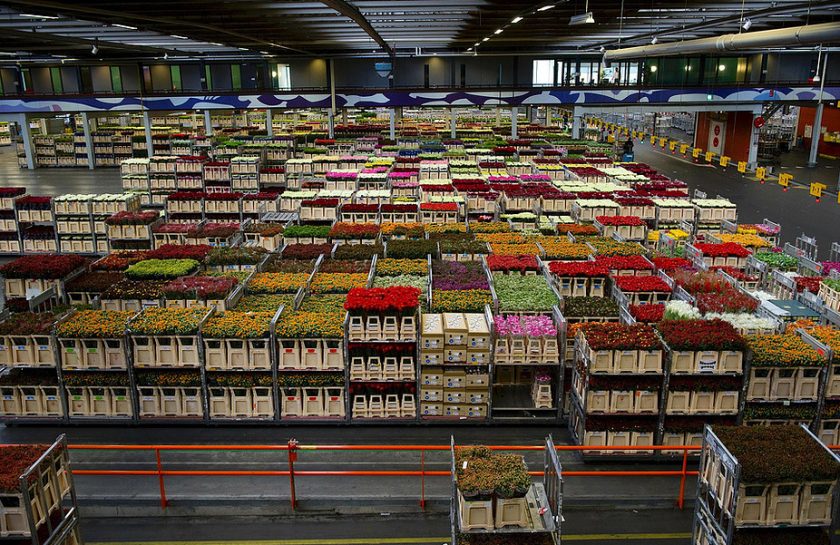 Warehouse Safety Experts 2